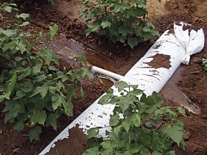 irrigate overview 13 - Irrigation Systems Overview irrigate overview 13 - Irrigation Systems Overview