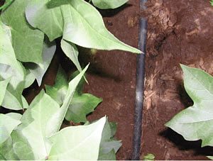 irrigate overview 6 - Irrigation Systems Overview irrigate overview 6 - Irrigation Systems Overview