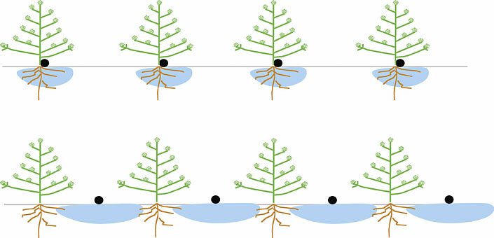 irrigate overview 7 - Irrigation Systems Overview