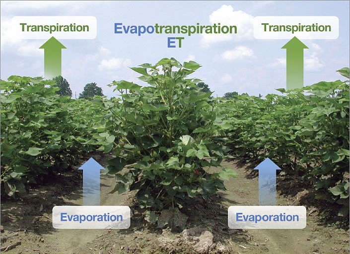 irrigate schedule tools 1 - Irrigation Scheduling Tools irrigate schedule tools 1 - Irrigation Scheduling Tools