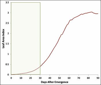 irrigate sensitivity 2 - Water-Sensitivity of Cotton Growth Stages