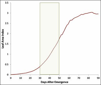 irrigate sensitivity 3 - Water-Sensitivity of Cotton Growth Stages