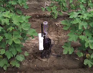 irrigate sensor 7 - Sensor-Based Scheduling
