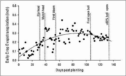 Cotton Growth Stage Chart