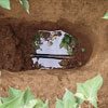 Irrigation Systems Overview