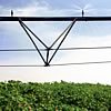 Irrigation Management