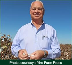 Clyde Sharp farm - Manage Heat with Innovation for Cotton Production