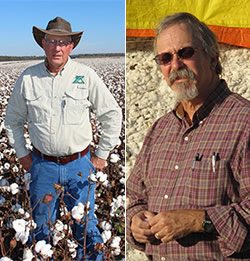 Ron Rayner - Year-Round Expert Advice to Cotton Growers