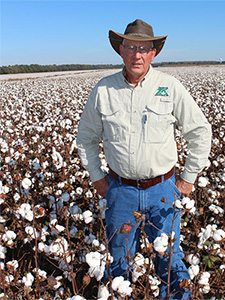 Stan Winslow Cotton Consultant - Year-Round Expert Advice to Cotton Growers