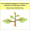 virus mediated thumb - Cotton Biotechnology Workshops virus mediated thumb - Cotton Biotechnology Workshops