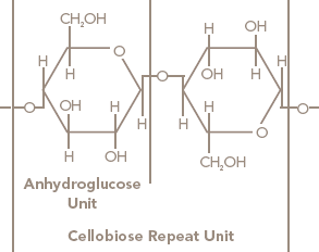 Figure 6 Chemical Structure of Cellulose