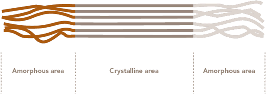 ChemicalStructureOfCellulose - Cotton Morphology and Chemistry