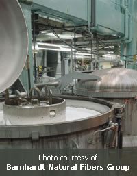 Photo courtesy of Barnhardt Natural Fibers Group - http://www.barnhardtcotton.net/