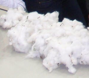 Raw Cotton - Cotton Preparation