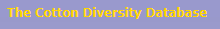 cotton diversity logo - State Variety Trial Data cotton diversity logo - State Variety Trial Data