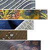 Creative Cotton II