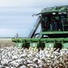 Farm Finance