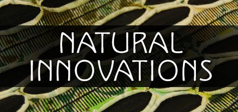 natural innovations 1 - Natural Innovations