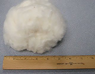 approximate 10 grams - Fiber Sample Packaging and Labeling approximate 10 grams - Fiber Sample Packaging and Labeling