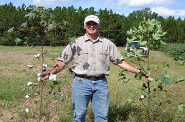 Diagnosis Management Foliar Diseases 20 - Diagnosis and Management of Foliar Diseases in the United States