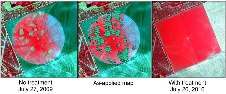 Site Specific Management of Cotton Root Rot Yang 9 - Site-Specific Management of Cotton Root Rot Using Airborne and Satellite Imagery and Variable Rate Technology