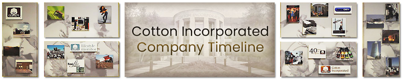 company timeline banner - History