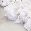 Cotton Preparation