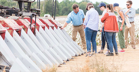 cottonleads partnership - Cotton LEADS™