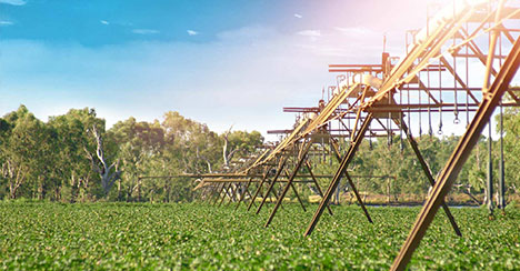 cottonleads sustainable - Cotton LEADS™