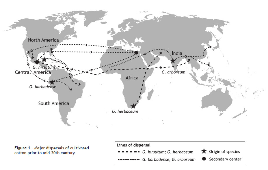 cotton dispersals - Cotton Fiber Development and Processing