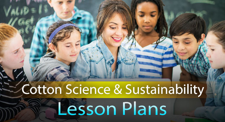 lesson plans banner - Consumer Marketing