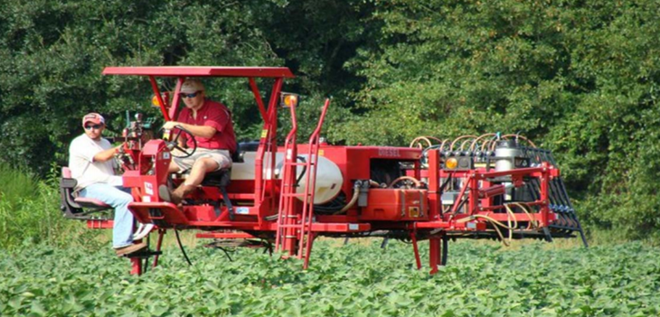 Application timing of fungicides thumb - Research Coordination Meeting on Target Spot Presentations