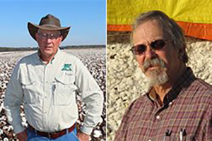 Ron Rayner - Spotlight on Cotton Growers
