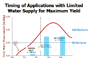 Tom Lahey Timing Water Applications thumb - Spotlight on Cotton Growers