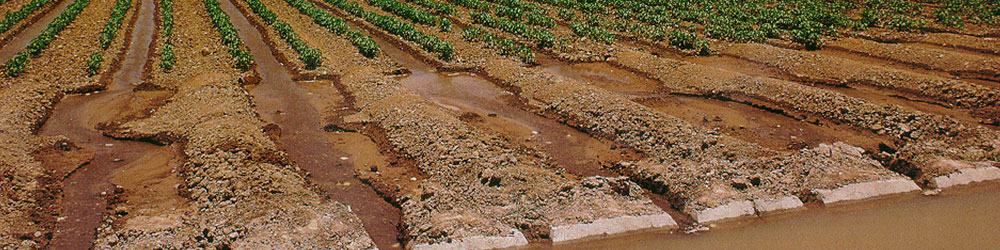 irrigation main - Irrigation Management