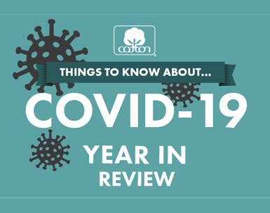 covid year in review - Supply Chain Insights