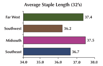 AvgStapleLength - Properties of the Growing Regions