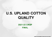 2023 Upland cotton crop quality slide 1 180x130 - Cotton Crop Quality Summary