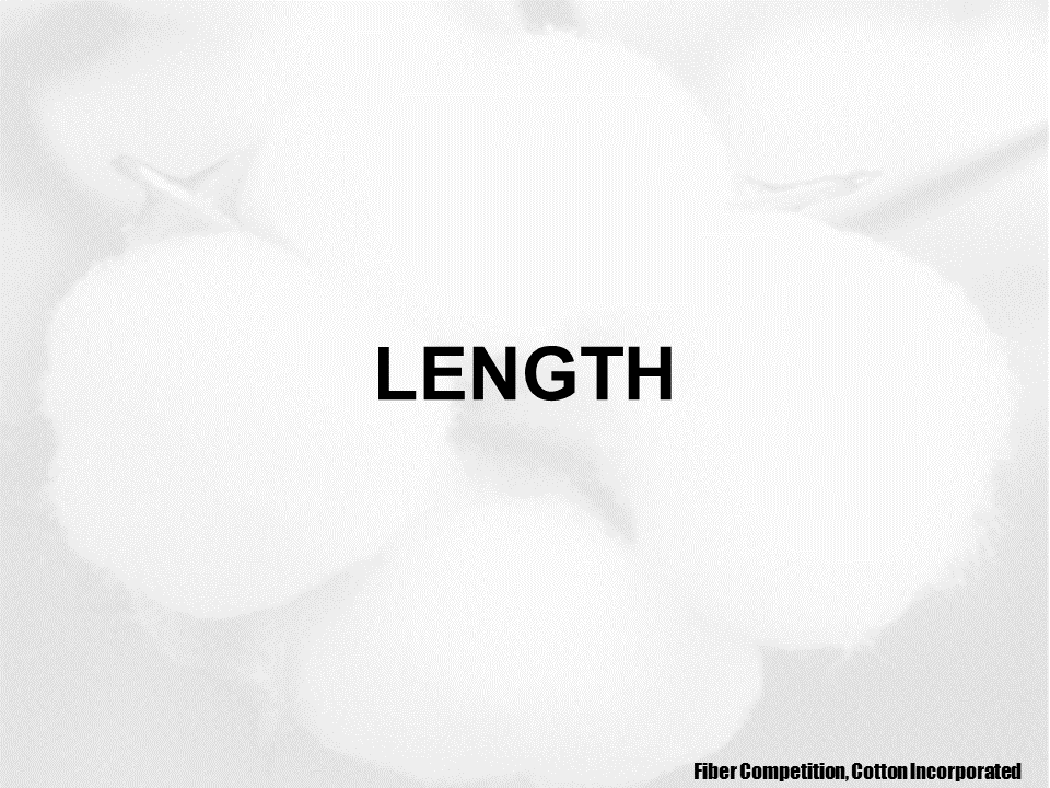 2023 Upland cotton crop quality slide 13 - Cotton Crop Quality Summary 2023 Upland cotton crop quality slide 13 - Cotton Crop Quality Summary