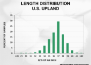 2023 Upland cotton crop quality slide 15 180x130 - Cotton Crop Quality Summary
