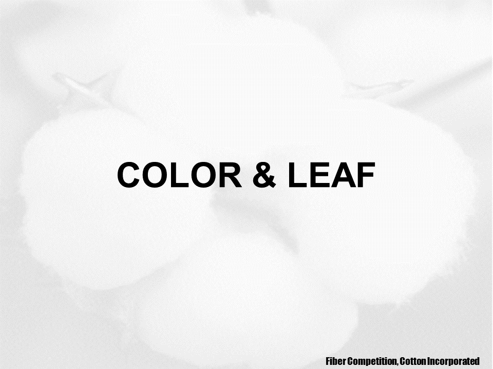 2023 Upland cotton crop quality slide 23 - Cotton Crop Quality Summary 2023 Upland cotton crop quality slide 23 - Cotton Crop Quality Summary