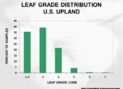 2023 Upland cotton crop quality slide 28 180x130 - Cotton Crop Quality Summary