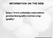 2023 Upland cotton crop quality slide 30 180x130 - Cotton Crop Quality Summary