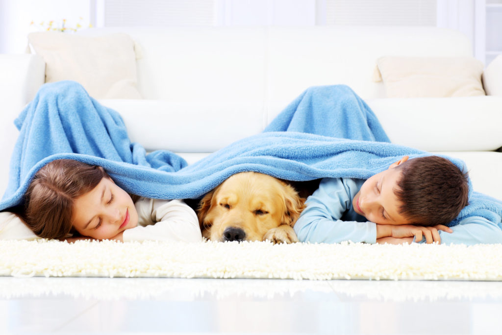 U.S.A: What Consumers Look for in Blankets