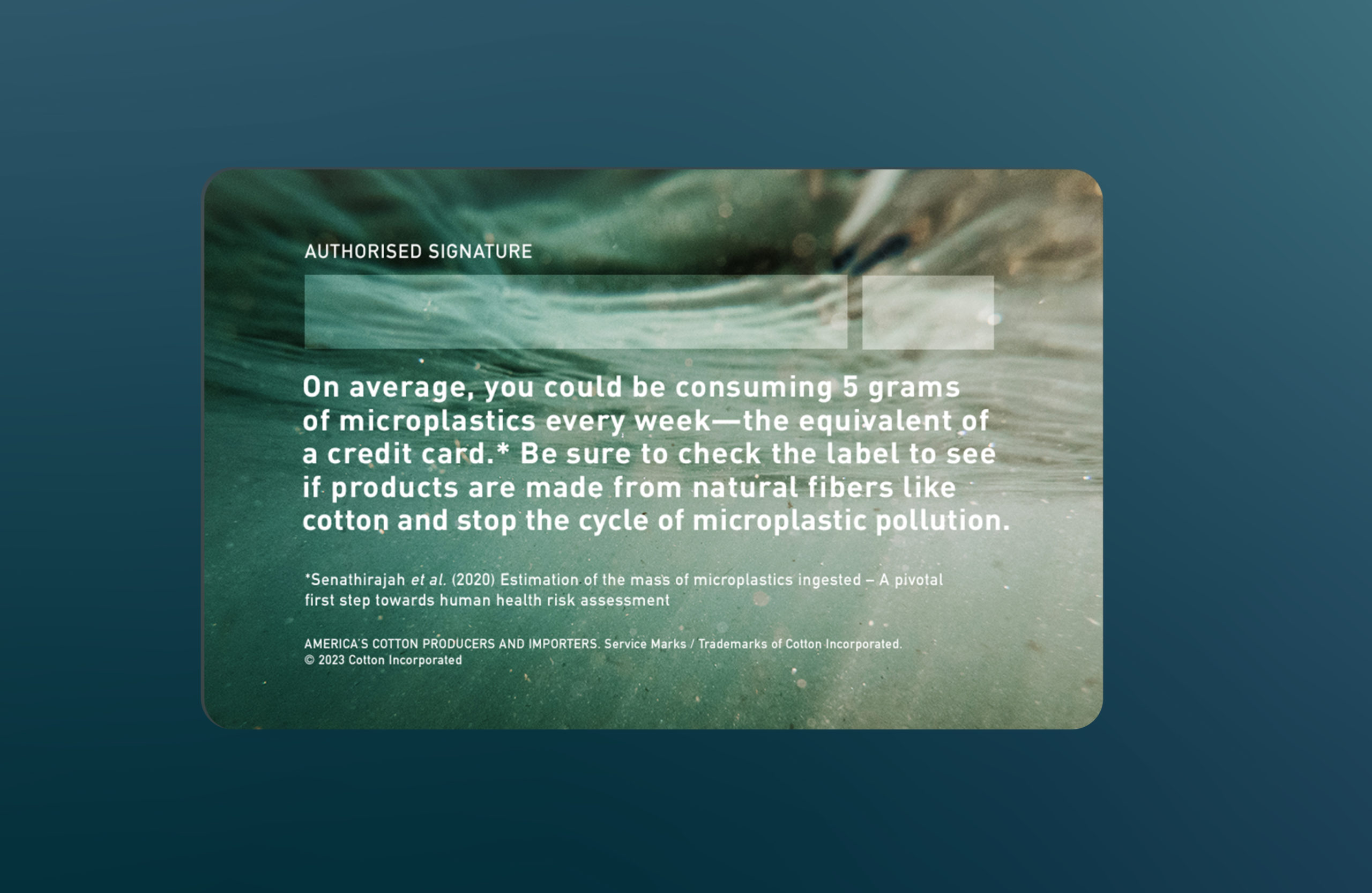 CottonInc Credit Card Story 2 3 scaled - New Research Finds Consumers Do Not Realize Their Clothes May Contribute to Microplastic Pollution