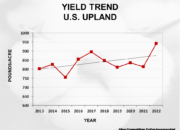 2023 Crop Quality Summary Slide2 180x130 - Cotton Crop Quality Summary