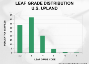 2023 Crop Quality Summary Slide28 180x130 - Cotton Crop Quality Summary