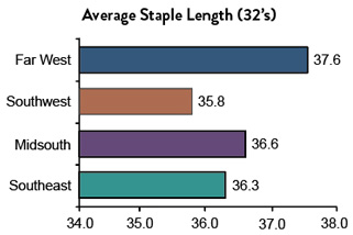 Average Staple Length