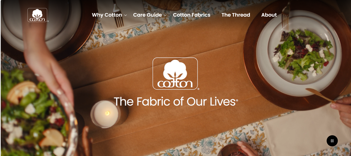 Feel the Familiar, Discover the New: The Fabric of Our LivesTM Webpage Reimagined