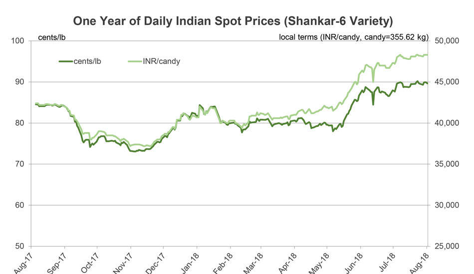 Cotton Market Fundamentals and Monthly Cotton Price Outlook